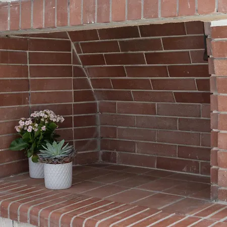 بيت ضيافة The Botanist