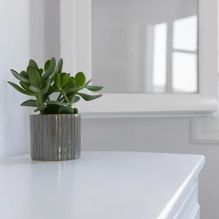 بيت ضيافة The Botanist سكوبيلوس تاون