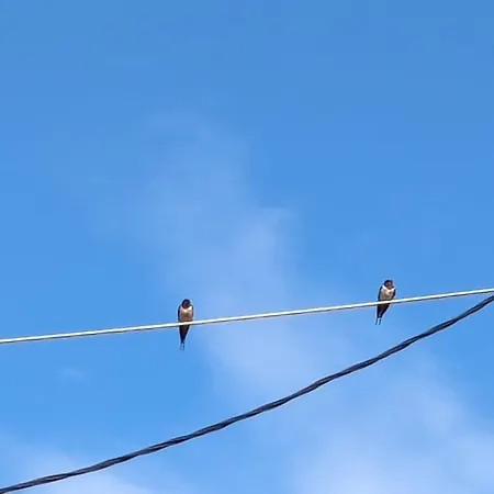 The Botanist بيت ضيافة 3*