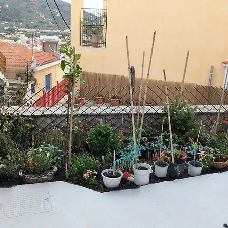The Botanist Πανσιόν Σκόπελος