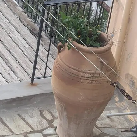 بيت ضيافة The Botanist 3*