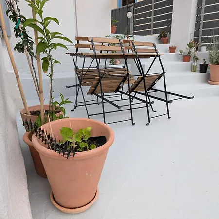 The Botanist بيت ضيافة